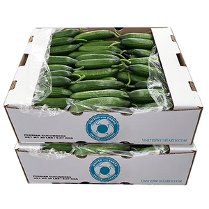 organic-persian-cucumbers-20lb-and-22lb-bulk-boxes-back