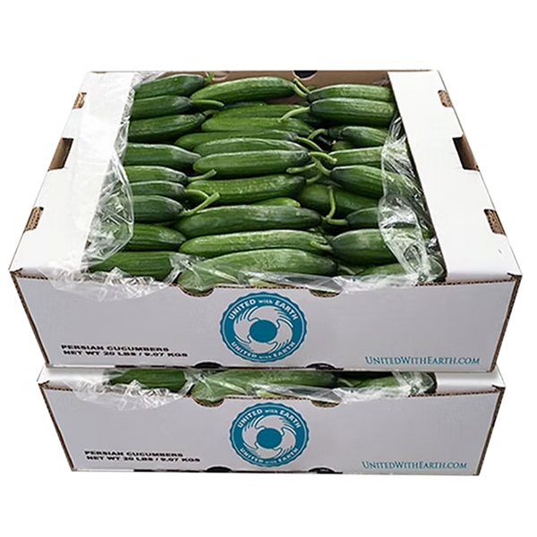 organic-persian-cucumbers-20lb-and-22lb-bulk-boxes-back