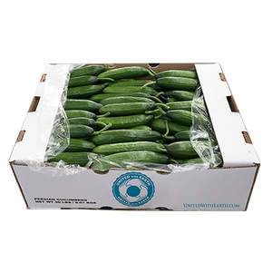 Persian Cucumbers 20 LB and 22 lbs. Bulk Boxes