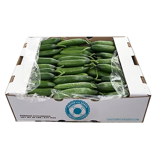 Persian Cucumbers 20 LB and 22 lbs. Bulk Boxes